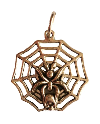 großer SPINNE im NETZ Anhänger Tibet Silber Schmuck NEU - Bild 1 von 2