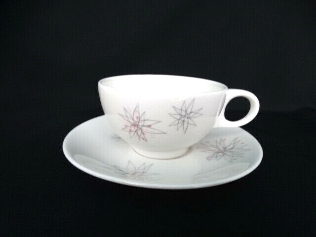 MCM Caribe Casual Pink Fancy 2" Flat Cup & Saucer Set Gray Pink Abstract Flowers MCM Caribe Casual Pink Fancy 2" Flat Cup & Saucer Set Gray Pink Abstract Flowers