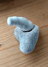 Fossil Coral Set