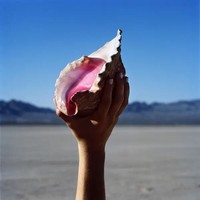 Wonderful Wonderful | The Killers | Vinyl / Schallplatte | 2017 | Island