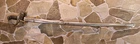 Model 1850 Officer's Cavalry Sword CS-2