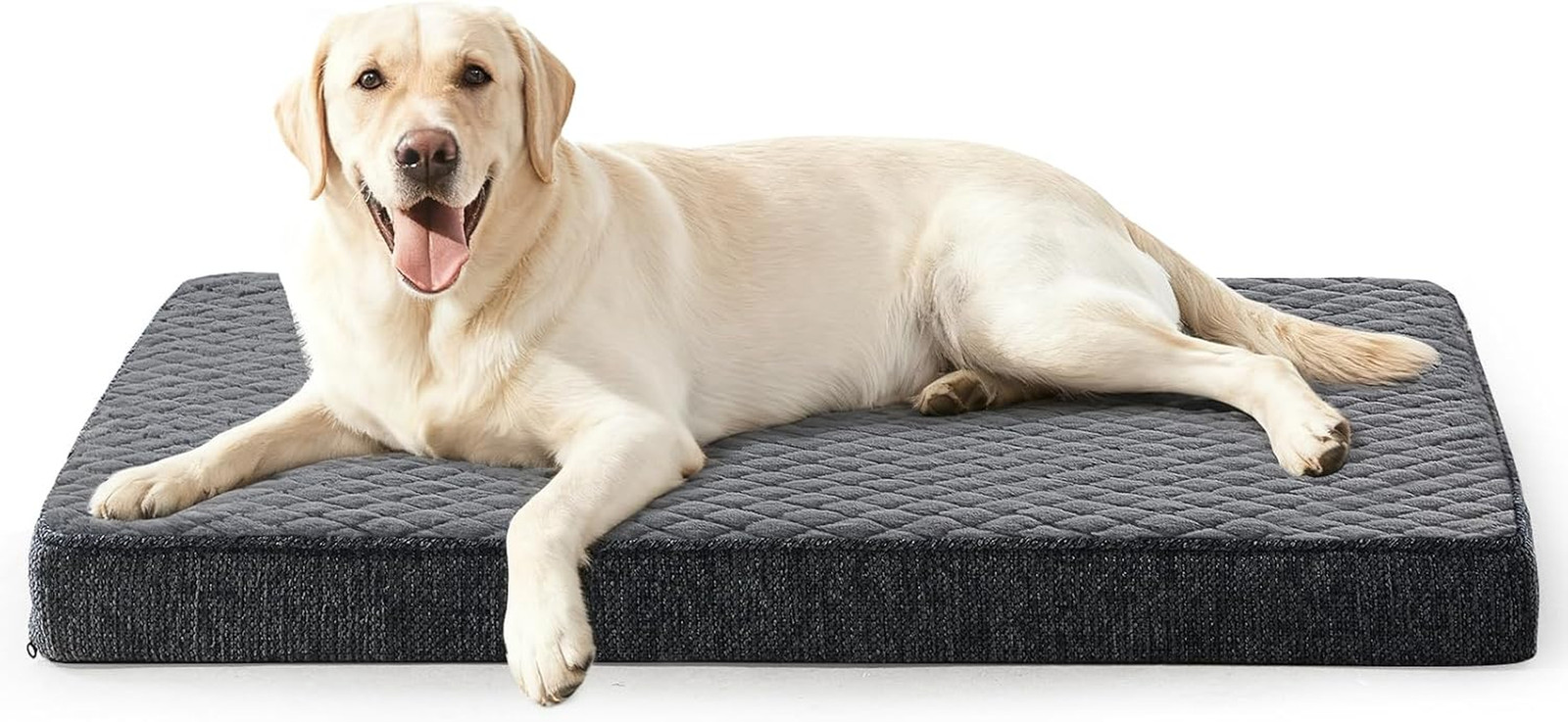 Letto per Cani Ortopedico XL | Cuccia per Cani Grande Sfoderabile - 1