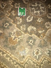 Claire's Christmas Jingle bell Lights Ornaments Bells Necklace  Earrings