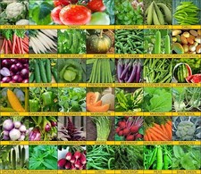 40 Varieties of Vegetable Seeds 2600 High Germination Seeds For Your Garden