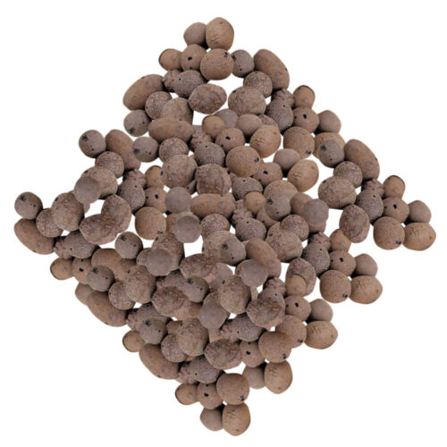 Clay Pebble Plants Gardening Ceramsite Clay Pebble Media DIY Home Planting Kit