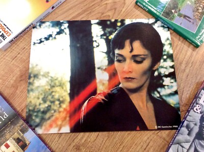 SUPERMAN 2 II Original DC COMICS Movie Film Poster SARAH DOUGLAS Evil Laser Eyes