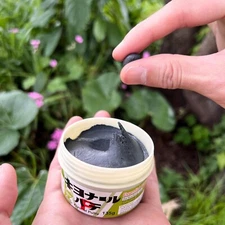 Bonsai Cut Paste 135g Putty Type Tree Pruning Sealer For Bonsai Gardening New