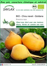 SAFLAX - Garden to go - BIO - Chou navet - Goldana - 500 Graines