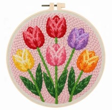 Punch Needle Kit for Beginners DIY Embroidery Starter Set with Hoop & Yarn Gift