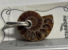 Ammonite Sterling Silver Pendant