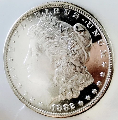 1882 S MORGAN DOLLAR MONSTER BLACK & WHITE CAMEO DMPL! GEM BU++UDM WOW NR #64511
