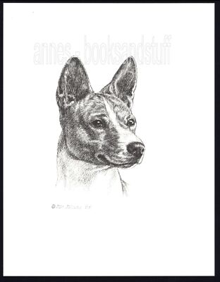 400 BASENJI  dog art print portrait * Pen and ink drawing by Jan Jellins