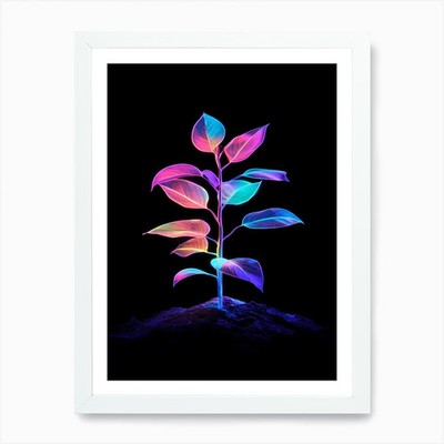 Plant On Black Background Art Print Framed Wall Art Poster Canvas Print Picture