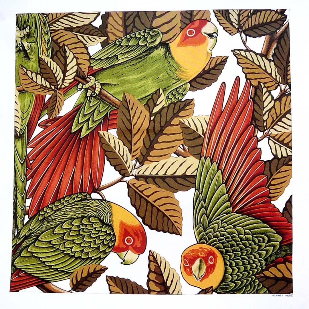 Hermes Carré 90 Les Perroquets Silk Scarf Parrot Design