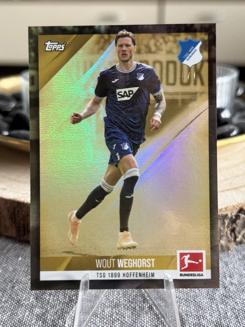 Topps Stars Of The Season/ TSG Hoffenheim/ Wout Weghorst/ One Of One 1/1