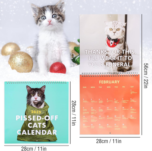 Lustiger Katzenkalender 2025, Verärgerter Katzen Kalender 2025 Desktop Dekoratio - Bild 2 von 7