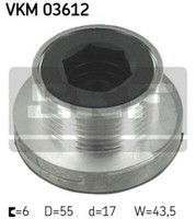 SKF Generatorfreilauf FüR Renault Clio Ii,Fluence,Grand,Kangoo,Laguna I II