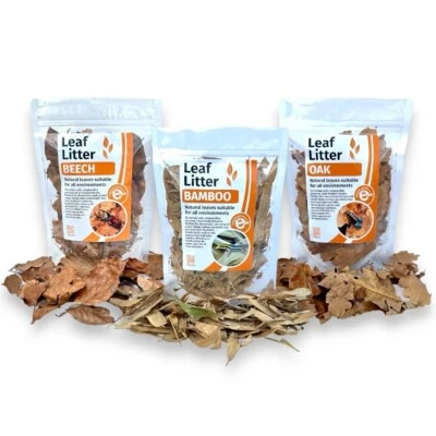 EXOTIC PETS ESSENTIALS LEAF LITTER FOR REPTILES, AMPHIBIANS, & INVERTS | Terrarium Decoration