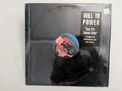 WILL TO POWER - SAY IT'S GONNA RAIN 12'' Vinyl Record Album 