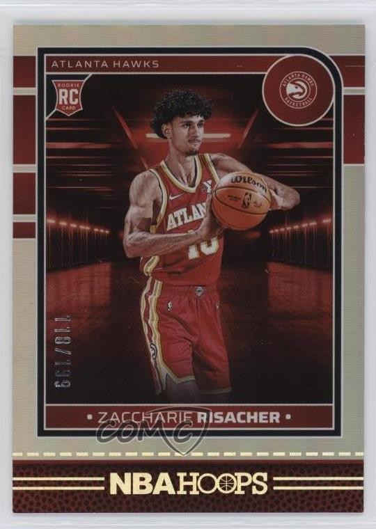 2024-25 Panini NBA Hoops Rookies Silver 118/199 Zaccharie Risacher #231 4vc
