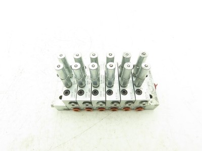 Graco 24G488 6 Section Modular NPSF Base Plate & Trabon MSP Divider Valves