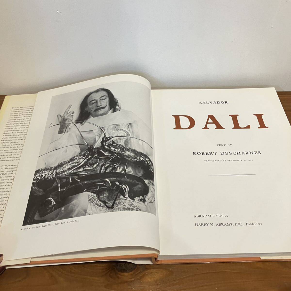 希少 サルバドール・ダリ DALI 洋書 画集 保存状態良好 定価約3万円 希少 サルバドール・ダリ DALI 洋書 画集 保存状態良好 定価約3
