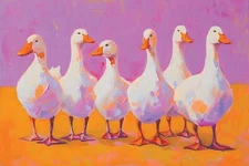 WHITE DUCKS COLORFUL POP ART PRINT/POSTER CANVAS/SATIN PHOTO PAPER T72