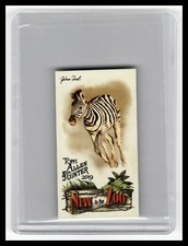 2019 Topps Allen & Ginter #NTTZ-15 Zebra Foal New to the Zoo