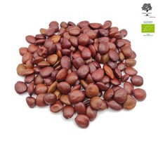 Graines de Caroube Bio Grecques 220g | Ceratonia Siliqua
