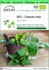 SAFLAX - Garden to go - BIO - Grande ortie - 2000 Graines