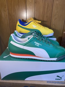 puma roma mexico