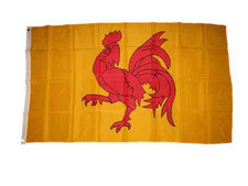 Flag of Wallonia 3x5 ft Banner Bold Red Walloon Rooster French Belgium Region