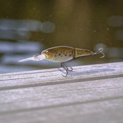 Jointed Shad 70FL -''Baby Bass'' - Barsch, Zander, Hecht, Forelle, Rapfen,...