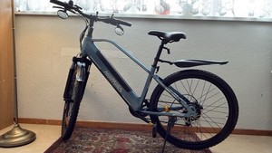 MileTrail 1 E-Mountainbike – 250W – 2 Akkus-SehrguterZust