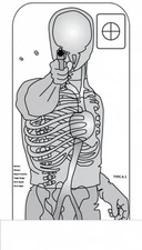 Tactical Anatomy Targets [24" x 37"], 13 Targets, All different