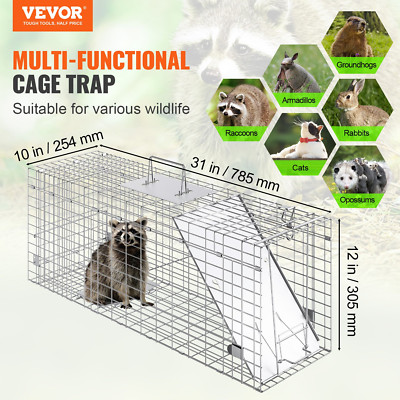 31x10x12 Live Animal Trap Humane Folding Cage for Cats Rabbits, Squirrels & More