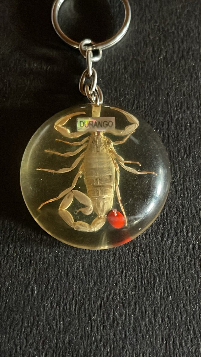 Scorpion Keychain Lucky Red Seed Pod Encased In Clear Resin Block