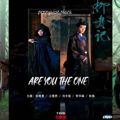 Are You The One 2024 DVD Chinese Drama Series English Subtitles All Region-NEW