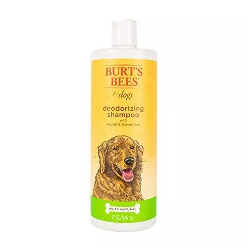 The best dog top shampoo for odor