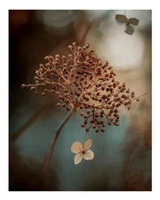 Elegant Floral Wall Art Poster – Nature's Serenity Premium Quality