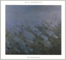 Wanderer Remixes by Ilya Beshevli (Vinyl 2016)
