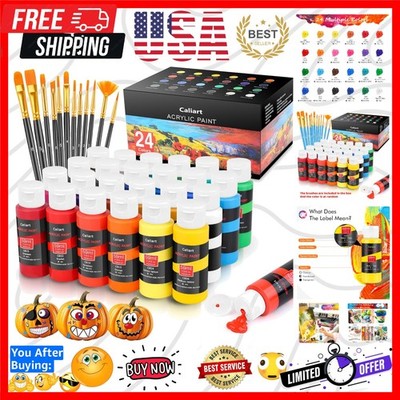 Acrylic Paint Set with 12 Brushes, 24 Colors Wood Craft Paints for Adults Kid...