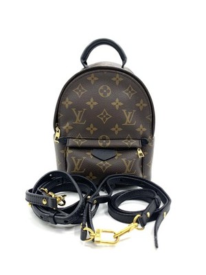 Louis Vuitton Palm Springs Backpack Monogram Canvas Mini