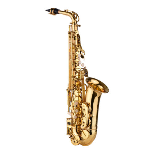 Eb Alto Saxophone Brass Gold Lacquer Alto Sax Wind Instrument w/ Carry Case P8S6 - Picture 5 of 9