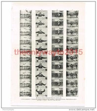 Specimens of Cinematographic Subjects, Book Illustration (Print), c1907