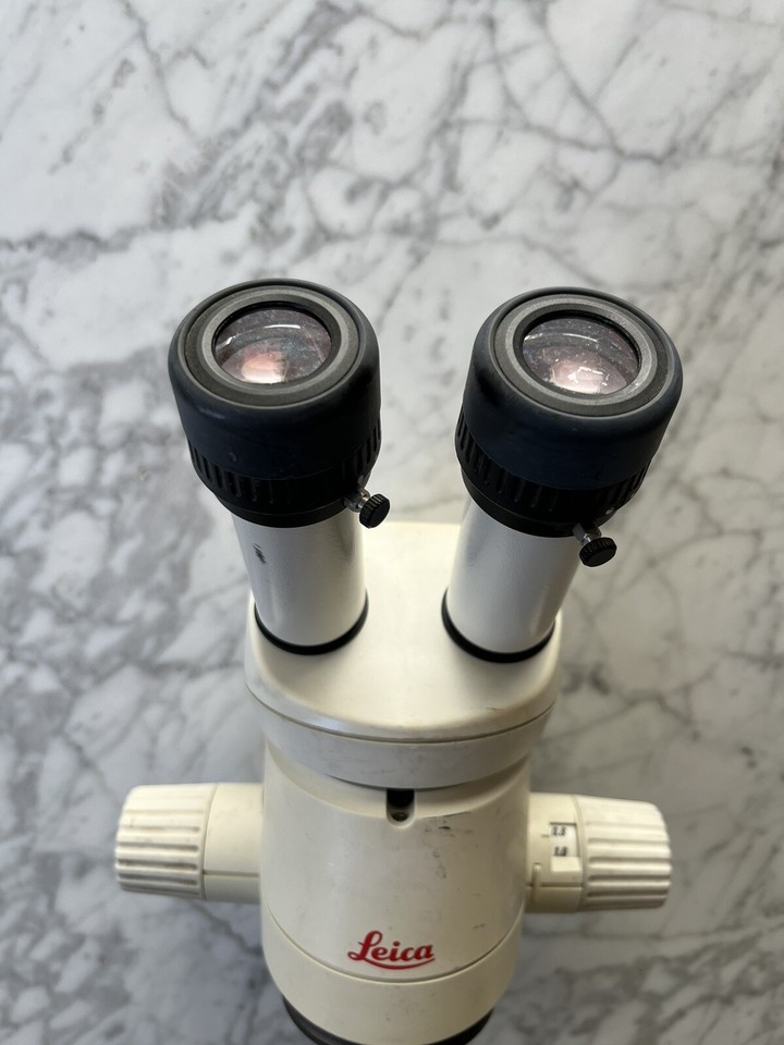 Wild Leica MZ6 Stereo Microscope *Needs Collimation eBay
