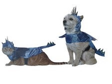 Dragon Dog Cat Pet Costume Halloween Iridescent