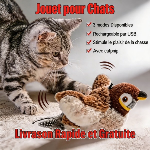 Jouet pour chat avec herbe à chat , Rechargeable USB-C, Oiseau en peluche animé
