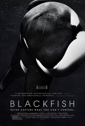Blackfish 2013 U.S. One Sheet Poster