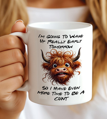 Lustige Highland Cow Tasse - Rude Sweary Kaffeebecher | Sarkastisches Morgengeschenk | Wach